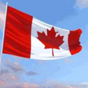 Meet your Posher, Carolyn